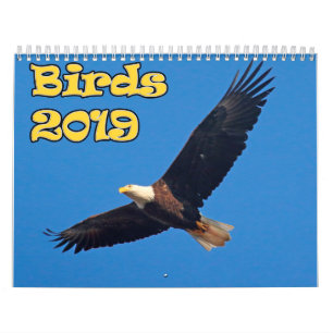 Vogels van het noordoosten kalender