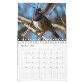 Vogels van het noordwesten kalender (Feb 2026)