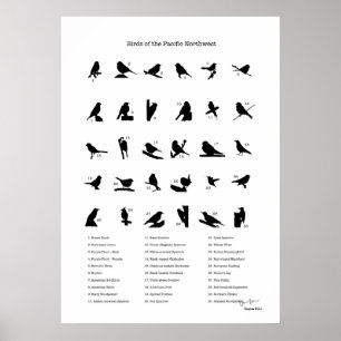 Vogels van het noordwesten (met namen) poster
