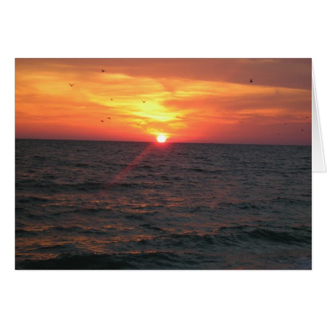 Vogels van het Paradijs (Voorkant Horizontaal)