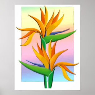 Vogels van het paradijs met de regenboogachtergron poster