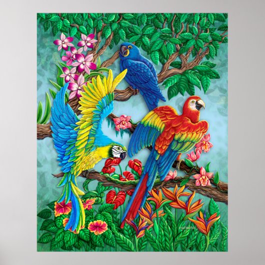 Vogels van het Paradijs-Poster Poster (Voorkant)