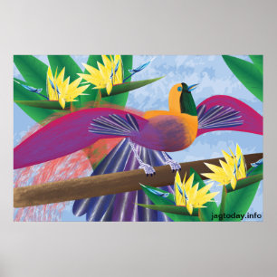 Vogels van het Paradijs-Poster Poster