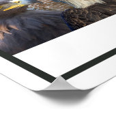 Vogels van het westen poster (Hoek)