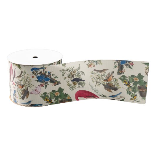 Vogels van John James Audubon Grosgrain Lint (Spoel)