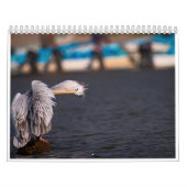 Vogels van Kenia - Lake Naivasha Kalender (Hoes)