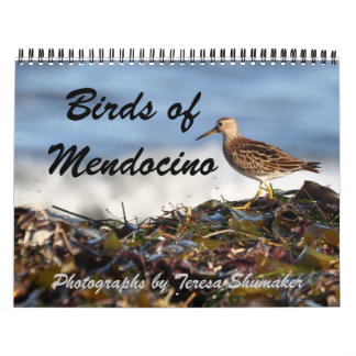 Vogels van Mendocino Kalender