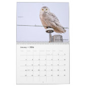 Vogels van Michigan Kalender (Jan 2026)