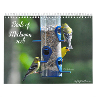 Vogels van Michigan Kalender