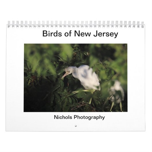 Vogels van New Jersey Kalender (Hoes)