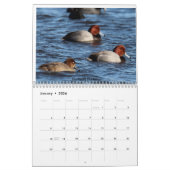Vogels van New Jersey Kalender (Jan 2026)