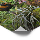 Vogels van Nieuw-Zeelands poster (Hoek)