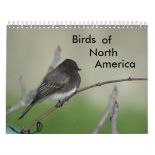 Vogels van Noord-Amerika 2011 Kalender