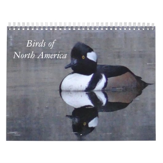 Vogels van Noord-Amerika kalandar Kalender (Hoes)