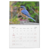 Vogels van Noord-Amerika Kalender (Mar 2026)