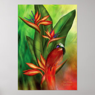Vogels van paradijs, Poster/druk Poster