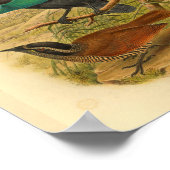 Vogels van Paradise Blue Brown  print (Hoek)