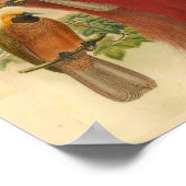 Vogels van Paradise Red Yellow  Print (Hoek)