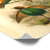 Vogels van Paradise Yellow Green Print (Hoek)