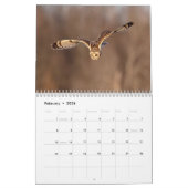 Vogels van Prey 2026 Kalender (Feb 2026)