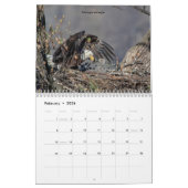 Vogels van Prey 2026 Kalender (Feb 2026)