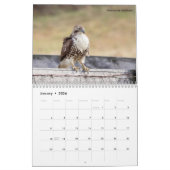 Vogels van Prey 2026 Kalender (Jan 2026)