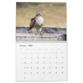 Vogels van Prey 2026 Kalender (Jan 2027)