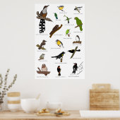 Vogels van Puerto Rico Poster (Keuken)