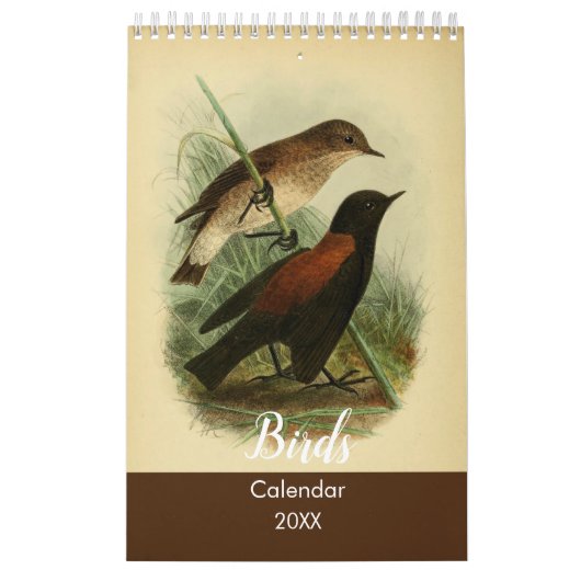 Vogels van Tierra Del Fuego Kalender (Hoes)