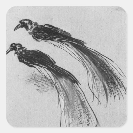 vogels vierkante sticker (Voorkant)