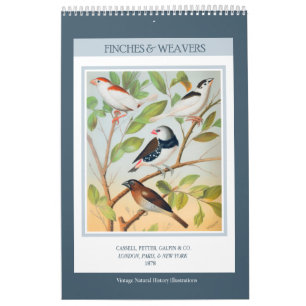 vogels - vinken en wevers 2026 kalender