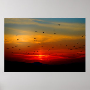 Vogels vliegen naar zonsondergang, extra groot Pos Poster