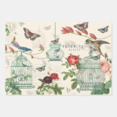 vogels, vlinders en vogels ontkoppelen inpakpapier vel (Voorkant)