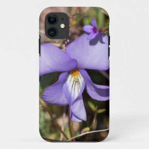 Vogels-Voetbal Violet w/Bluets iPhone 11 Hoesje