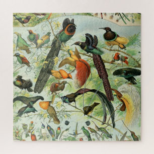  vogels Voorbeeld van oude boeken Kunstdieren Legpuzzel