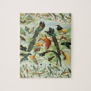 vogels Voorbeeld van oude boeken Kunstdieren Legpuzzel