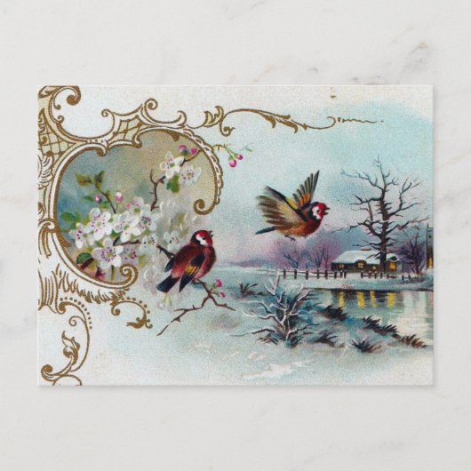 Vogelscene Briefkaart (Voorkant)