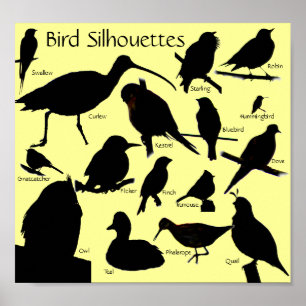 Vogelsilhouettes (16) Poster