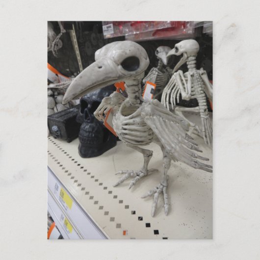 Vogelskelet Decoratie Briefkaart (Voorkant)