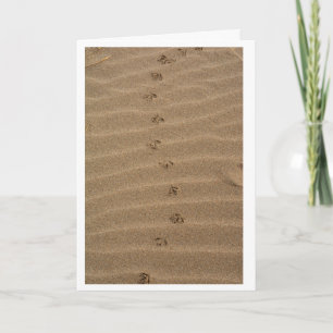 Vogelsporen op het strand verjaardagskaart kaart