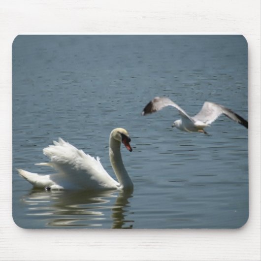 Vogelsport met zwaan muismat (Voorkant)