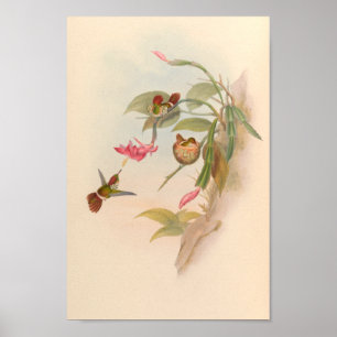 vogelstand Art Bird Print Flowers Nest