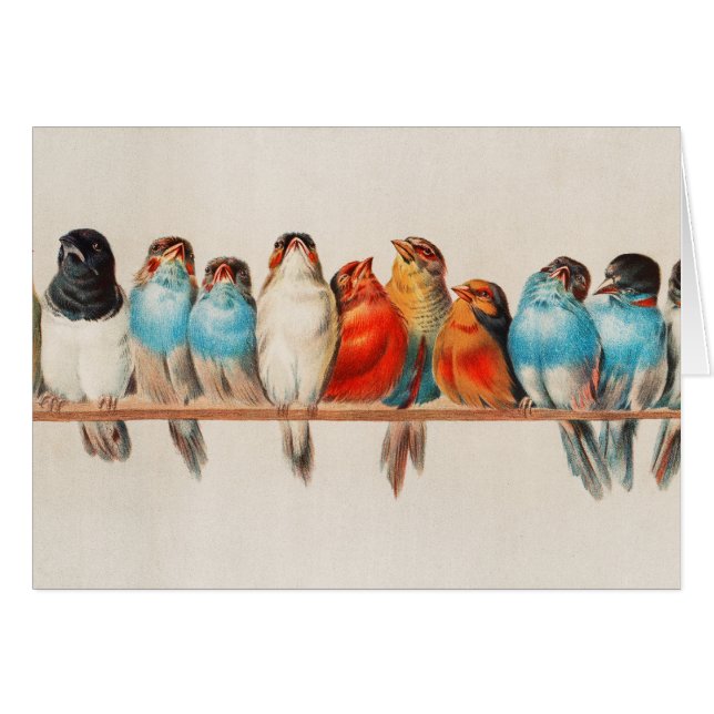  vogelstand door Hector Giacomelli (Voorkant Horizontaal)