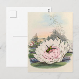 vogelstand door John Gould Briefkaart