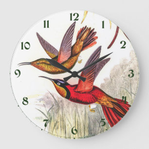vogelstand door John Gould Grote Klok