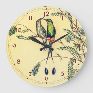 vogelstand door John Gould Grote Klok