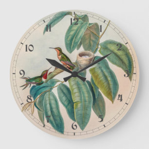  vogelstand door John Gould Grote Klok