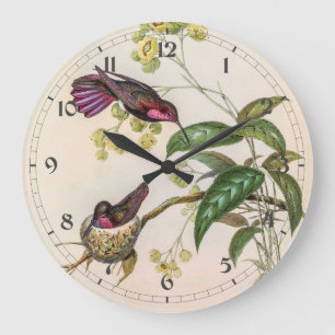 vogelstand door John Gould Grote Klok