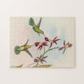  vogelstand door John Gould Legpuzzel (Horizontaal)