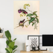  vogelstand door John Gould Poster (Thuiskantoor)